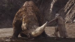 英国发现白色蛞蝓酷似恐怖电影中外星生物